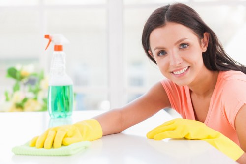 Illustration of accessible West Ham Carpet Cleaners website on a digital device