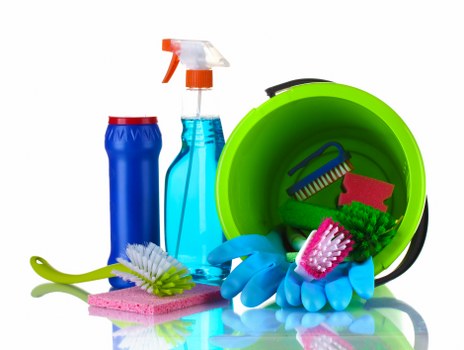 Pet stain odour removal service in West Ham living room carpet