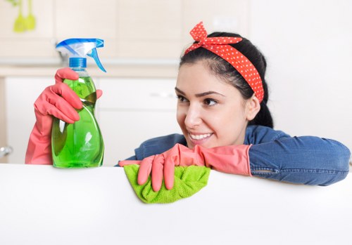 Fresh and hygienic mattress cleaning service