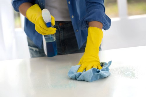 Deep cleaning treatment for pet odour in West Ham upholstery